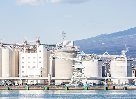 ????? ???????? ?????? ?????